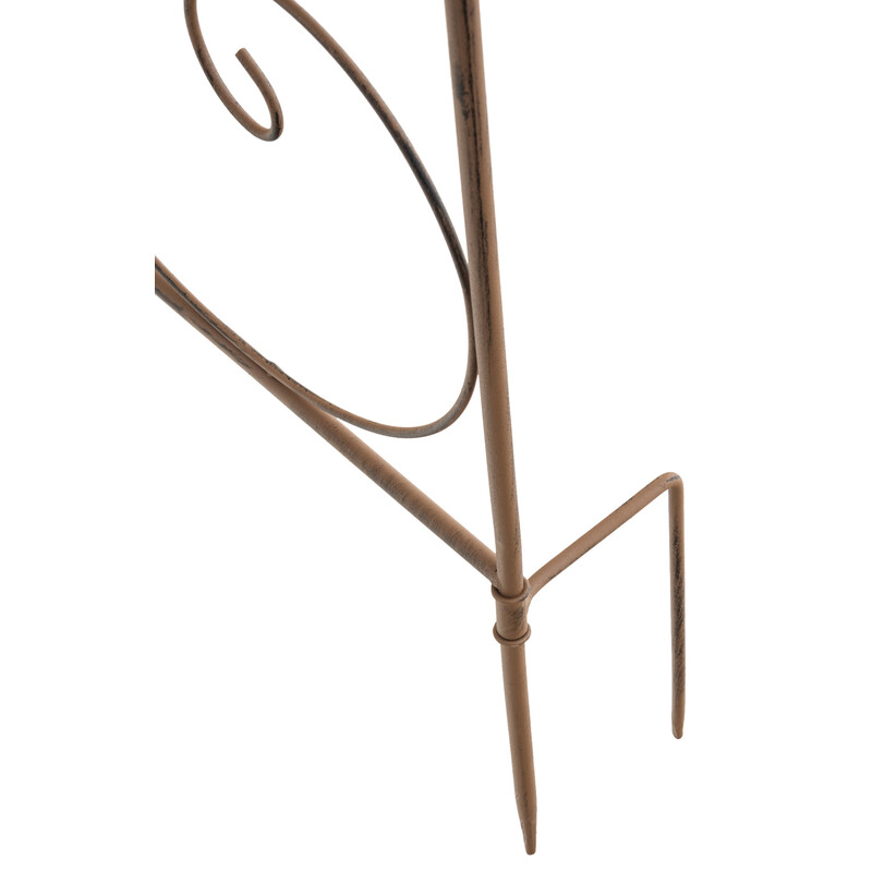 Rustik metallspaljé för trädgårdsdekoration och växtuppvisning