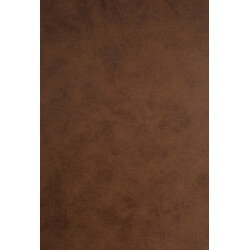 Modern matstol med hög rygg och bekväm stoppning