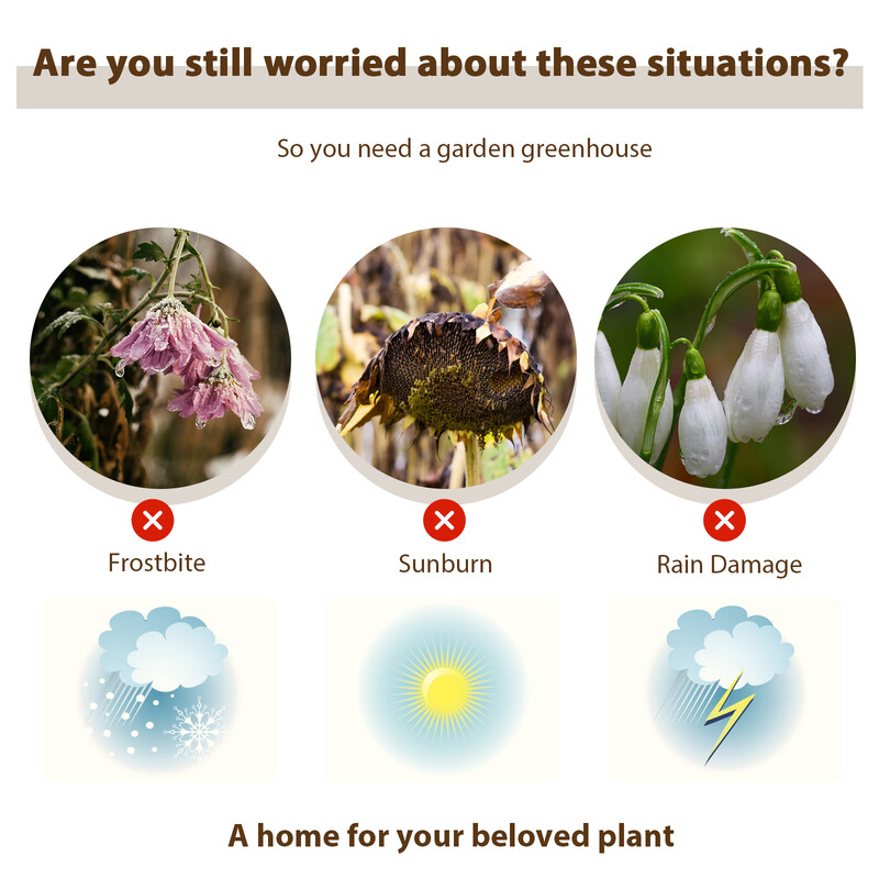 Kompakt växthus med PVC-skydd och metallhyllor