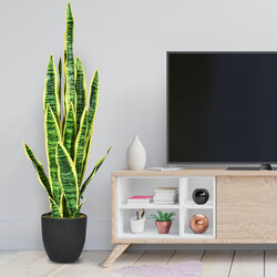 Konstgjord ormväxt med stabil kruka för hem och kontor