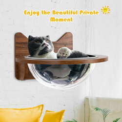 Väggmonterad kattbädd med transparent kupol och trämaterial