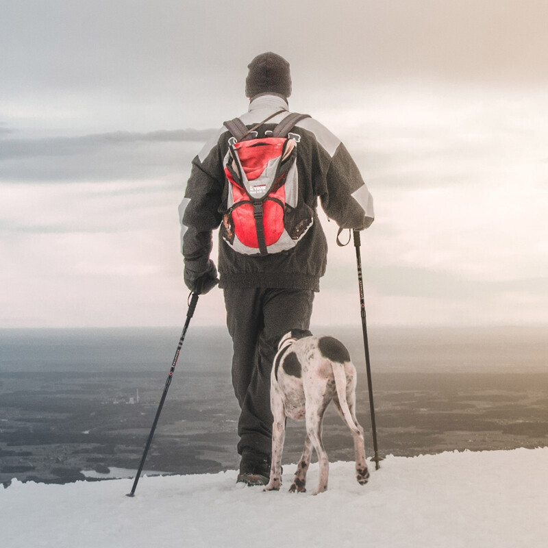 Justerbara vandringsstavar 2-pack 66-137 cm svart aluminium