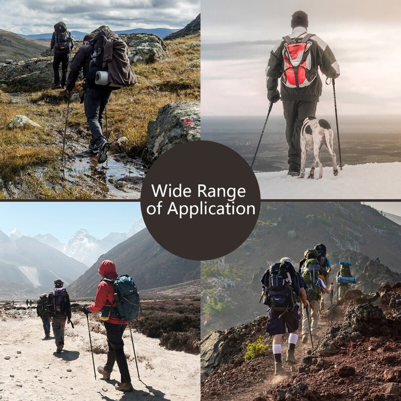 Justerbara vandringsstavar 2-pack 66-137 cm svart aluminium