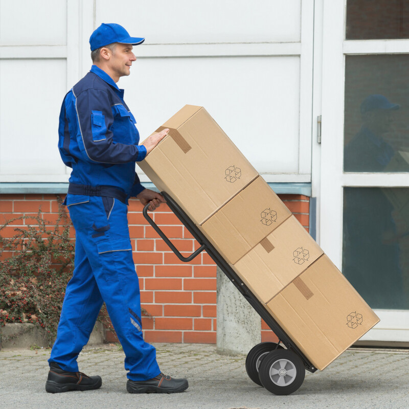 Transportvagn med p-handtag och hög rygg, svart, 300 kg kapacitet, hopfällbar design