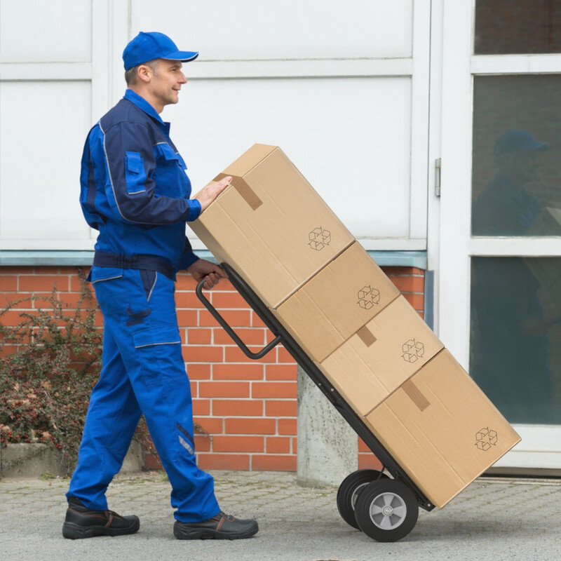 Transportvagn med p-handtag och hög rygg, svart, 300 kg kapacitet, hopfällbar design