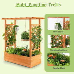 Odlingslåda med spaljé och hängande tak i orange tannenträ för trädgård och balkong