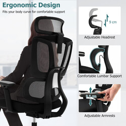 Ergonomisk kontorsstol med N-formad ländryggsstöd och justerbart nackstöd svart