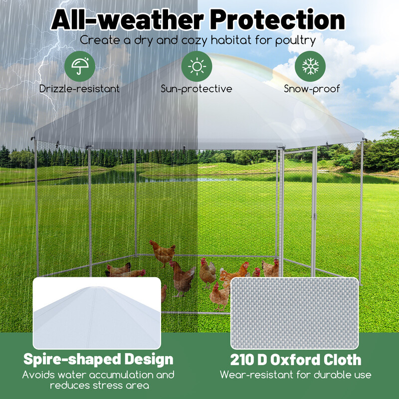 Metallhönsbur med låsbar dörr och väderbeständigt skydd för utomhusbruk