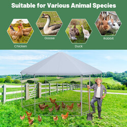 Metallhönsbur med låsbar dörr och väderbeständigt skydd för utomhusbruk