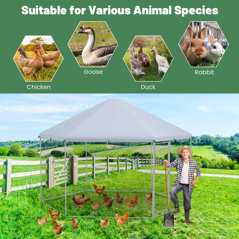 Metallhönsbur med låsbar dörr och väderbeständigt skydd för utomhusbruk