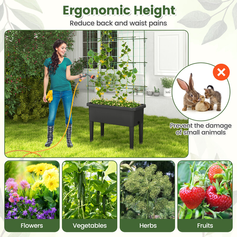 Självbevattnande upphöjd odlingslåda med spaljé och vattennivåmätare för trädgårdsentusiaster