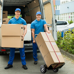 3-i-1 transportvagn med 4 gummihjul och fästlina, lastkapacitet upp till 450 kg