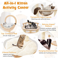 Klätterträd för katter i ek med plattformar och rymdkapsel, beige, 60 x 60 x 146 cm