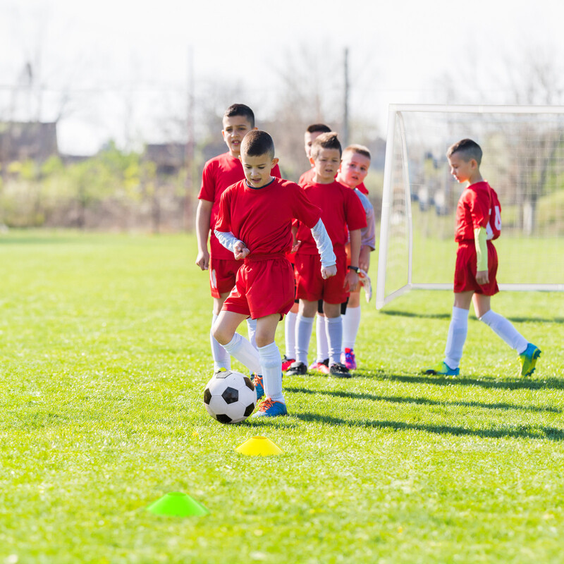 Fotbollsmål 245x180 cm med väderbeständigt nät och markspett för träning utomhus