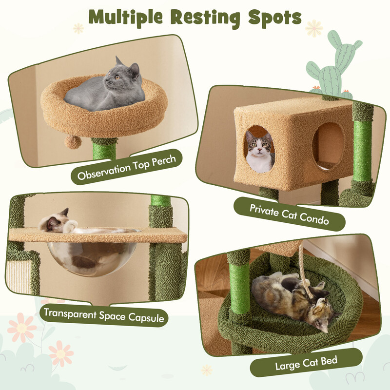 Kaktusformad klösträd för katter med plattformar och borste i grönt och brunt