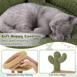 Kaktusformad klösträd för katter med plattformar och borste i grönt och brunt