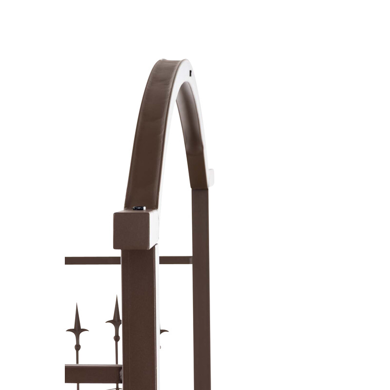 Elegant rosenbåge med grind i hållbart järn för trädgård