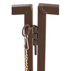 Elegant rosenbåge med grind i hållbart järn för trädgård