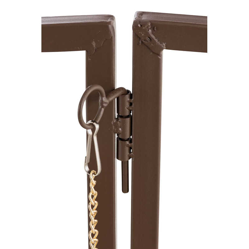 Elegant rosenbåge med grind i hållbart järn för trädgård